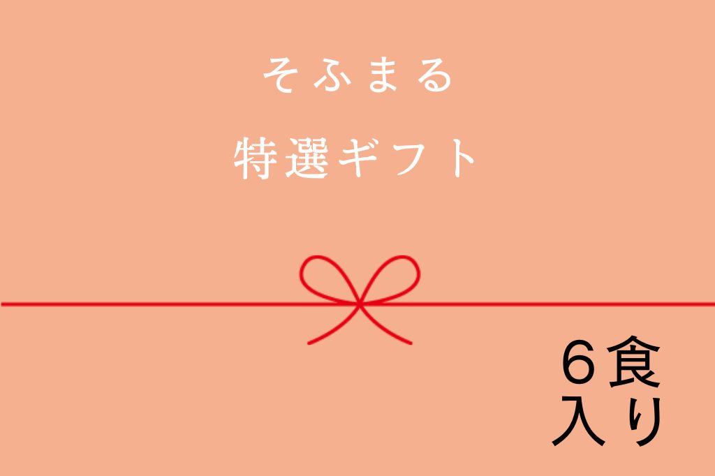 特選ギフト　6食入り